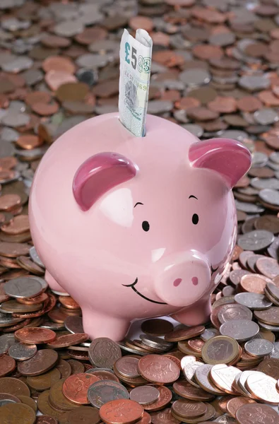 Piggy banco com fundo de dinheiro — Fotografia de Stock