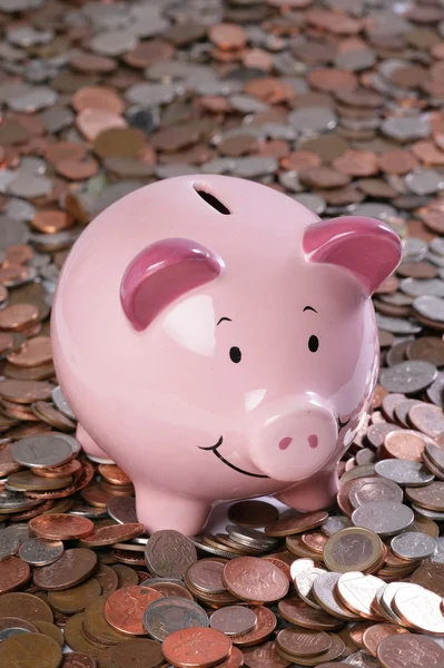 Sparschwein mit Geld-Hintergrund — Stockfoto