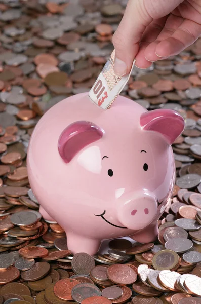 Sparschwein mit Geld-Hintergrund — Stockfoto