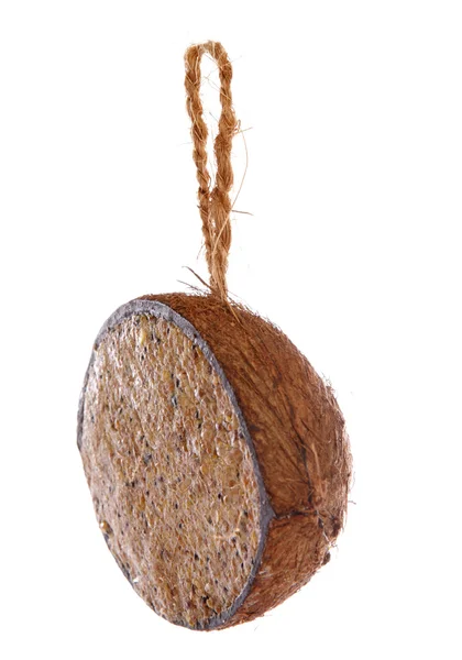 Kokosnuss gefüllt mit Vogelsamen — Stockfoto