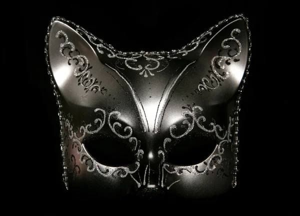 Cat masquerade mask — Stock Photo, Image