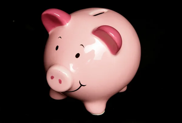Piggy banco estúdio retrato — Fotografia de Stock