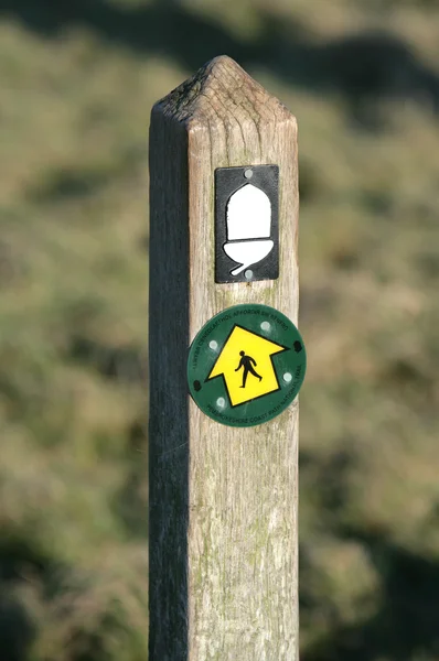 stock image Welsh nature trail sign post with acorn