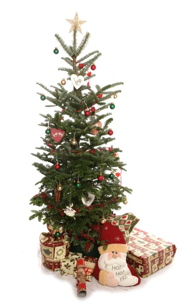 Χριστουγεννιάτικο δέντρο και παρουσιάζει διακοπής — Φωτογραφία Αρχείου