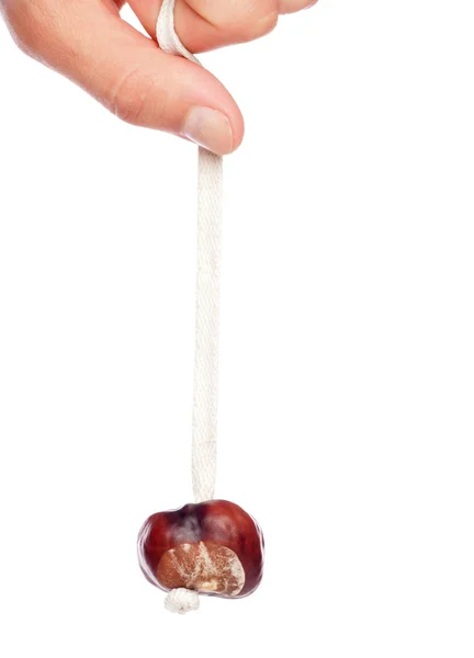 Single conker on a string — Stock Photo, Image