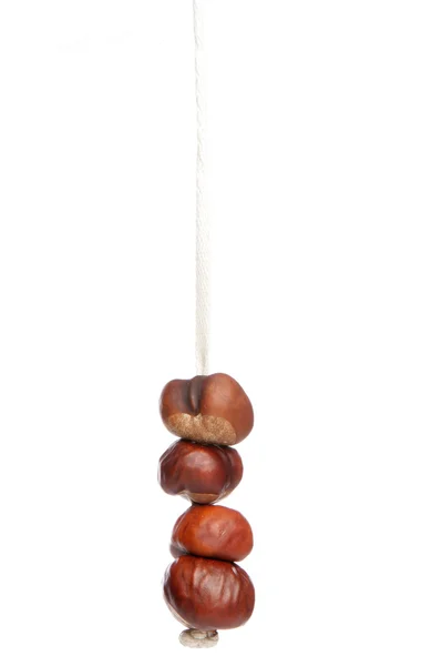 Four conkers on a string — Stock Photo, Image
