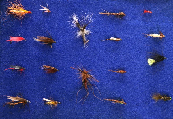 Moscas da pesca da mosca — Fotografia de Stock