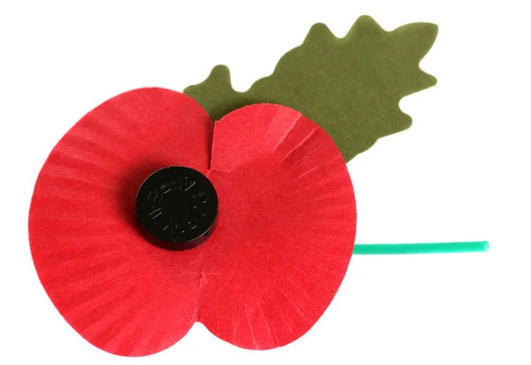 Remembrance day poppy — Stock Photo, Image