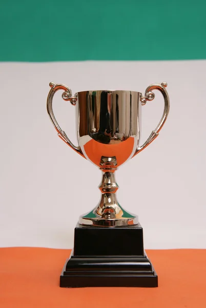Irländska trophy — Stockfoto