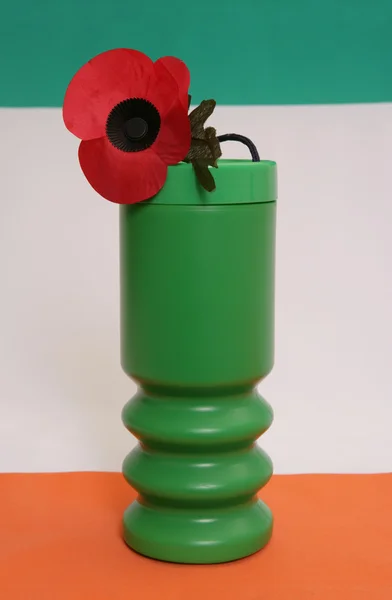Remembrance day charity donation — Stock Photo, Image
