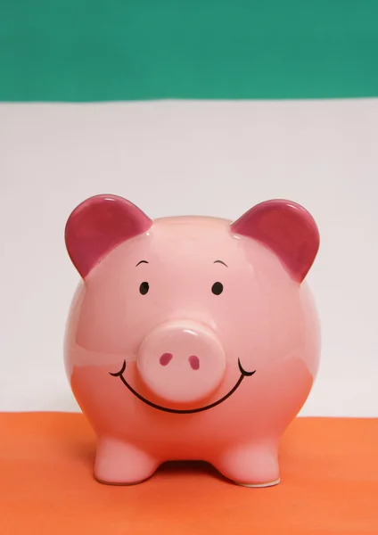 Irish piggybank — Stock Photo, Image