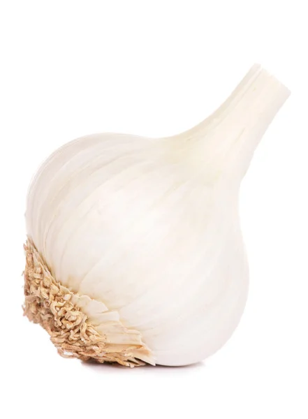 Whole garlic — Stock Photo, Image