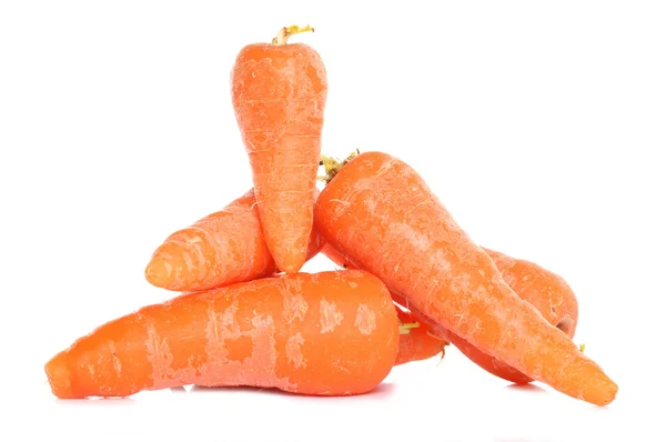 Zanahorias caseras — Foto de Stock