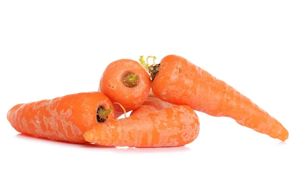 Домашняя морковь — стоковое фото
