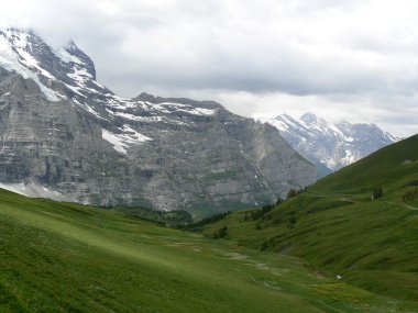 swiss alpes