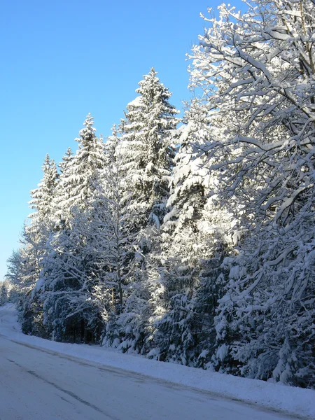 Деревянная дорога зимой — стоковое фото