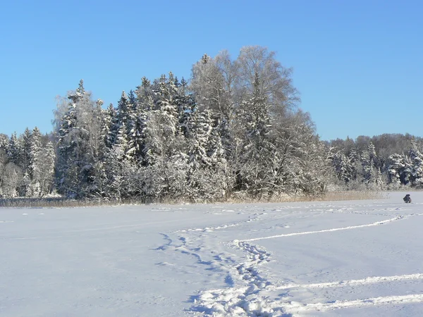 Vinterdag vid sjön stod — Stockfoto