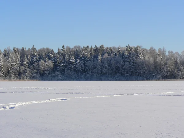 立っていた湖の冬の日 — ストック写真