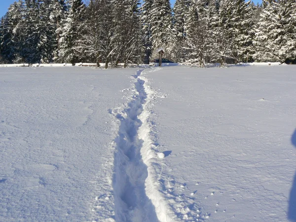 Winter footpath — Stock Photo, Image