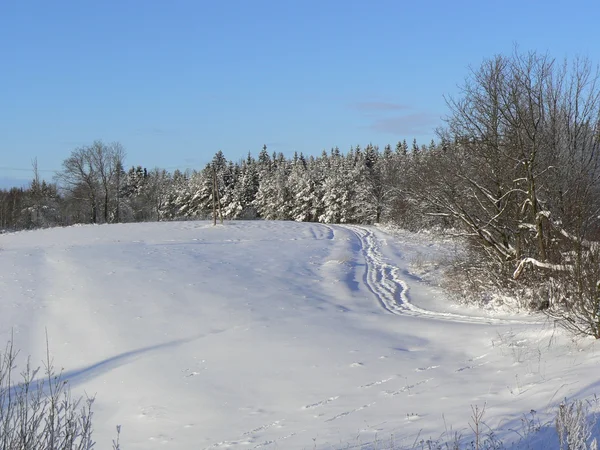 冬の空き地 — ストック写真
