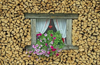 çıkıntıya taze çiçeklerle çevrili bir pencerenin odun kesmek
