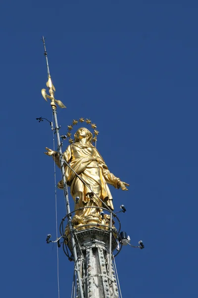 Milan Katedrali arasında yüksek dorukları üstünde altın madonna — Stok fotoğraf
