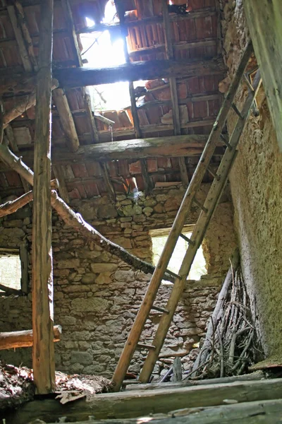 Παρακμή με τη στέγη καταστραφεί το σπίτι μέσα στο δάσος — Φωτογραφία Αρχείου