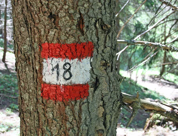 Indicaciones de un sendero de montaña número dieciocho en un árbol — Foto de Stock