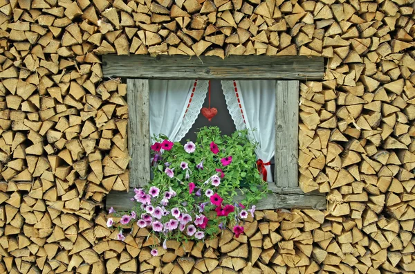 Kanten av ett fönster som omges av blommor nymalen skär trä — Stockfoto