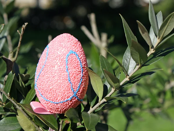 Paskalya yumurtaları ve mavi papatya çiçekleri ve zeytin dalı — Stok fotoğraf