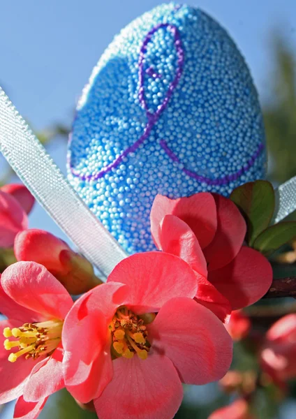 Ovo de Páscoa azul e flores vermelhas florescem na primavera — Fotografia de Stock