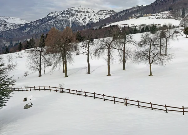 Panorama de las montañas de los Alpes en invierno con nieve y árboles —  Fotos de Stock