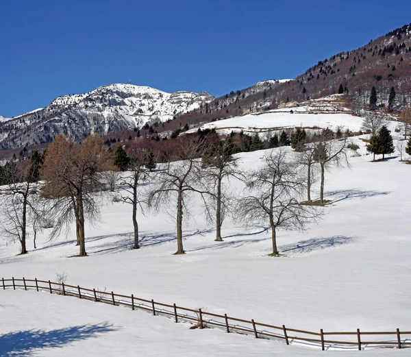 Panorama delle montagne delle Alpi in inverno con neve e alberi — Foto Stock