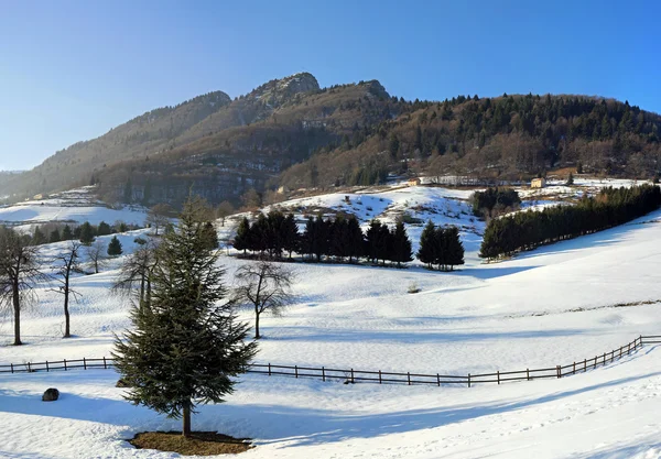 Panorama van de bergen van de Alpen in de winter met sneeuw en bomen — Stockfoto