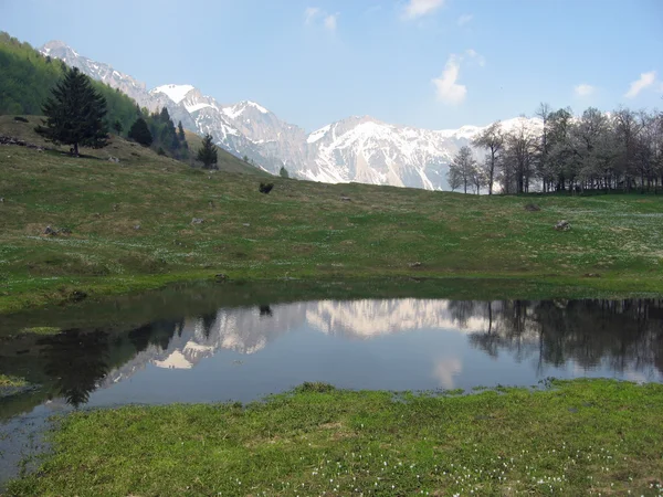 Hora odráží v alpském jezeře na jaře — Stock fotografie