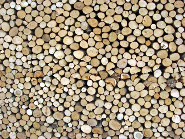 Shed of logs — Stock Photo, Image