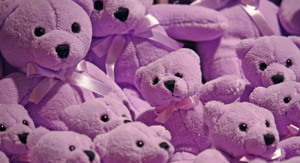 Purple bears into a pile in the room
