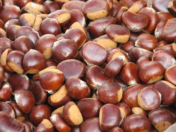 Fruits of chestnuts ready to be cooked in the fall — Stock Photo, Image