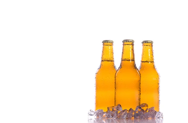 Três cervejas frescas com gelo — Fotografia de Stock