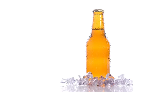 A fresh beer with ice — Stock Photo, Image