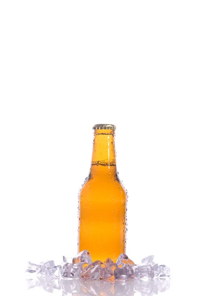 Μια φρέσκια μπύρα με πάγο — Φωτογραφία Αρχείου