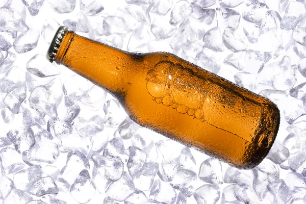 A hűtőszekrény friss sör. — Stock Fotó