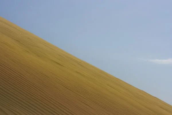 De woestijn — Stockfoto