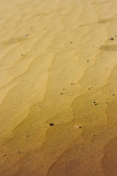 El desierto — Foto de Stock