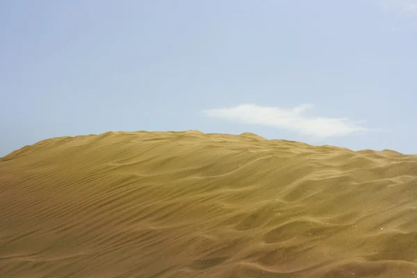 El desierto — Foto de Stock