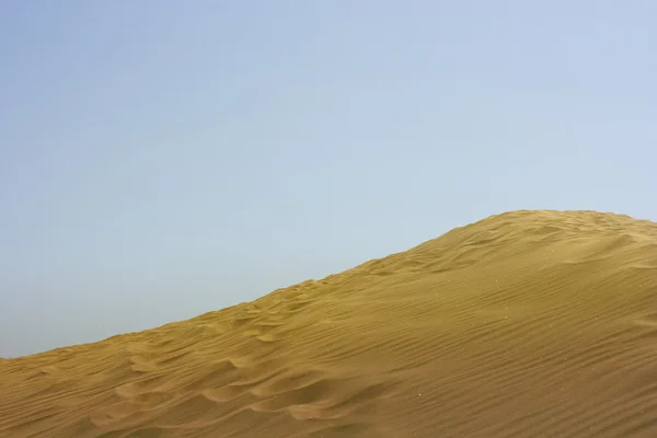 Στην έρημο — Φωτογραφία Αρχείου