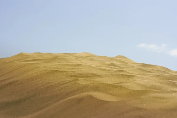 De woestijn — Stockfoto