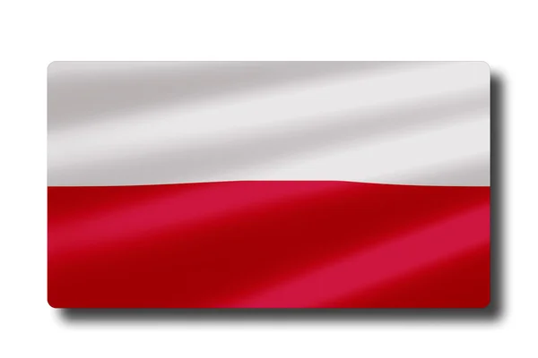 Polonya bayrağı — Stok fotoğraf