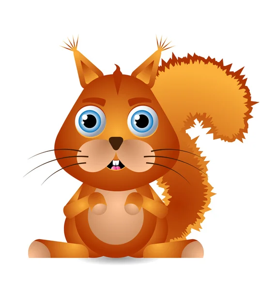 Little Squirrel — Stock Vector