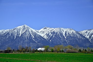 California - Gardnerville